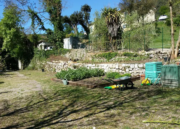 Le Clos du Loup